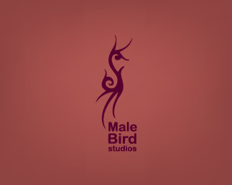 Male Bird