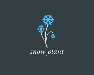 snow plant