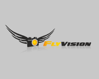 Fly vision