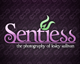 Sentiess: The Photography of Lesley Sullivan