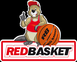 Logo Mascotte and Illustration for a basket team