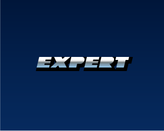 Expert 4