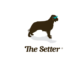 The Setter