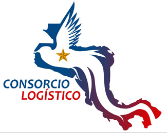 Consorcio Logistico 2