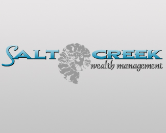 Salt Creek Wealth Management