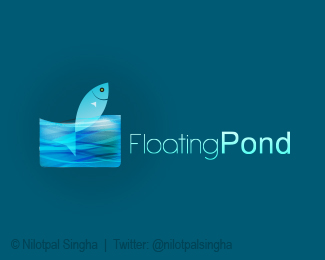 Floating Pond