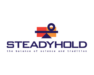 Steadyhold Company