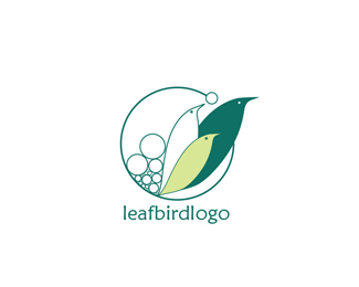 Creative bird logo design