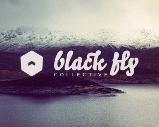 Black Fly Collective logo