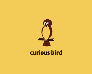 curious bird