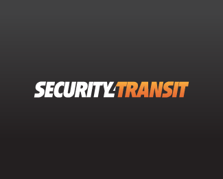 Security 4 Transit (Concept 1)