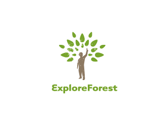 Explore Forest