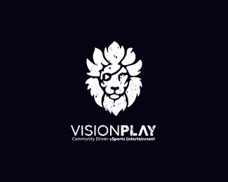 Vision Play E-Sports