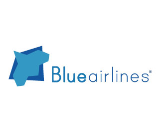 blue airlines1