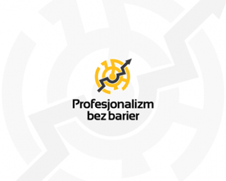 Professionalism without borders