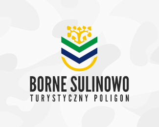 Borne Sulinowo - city identity