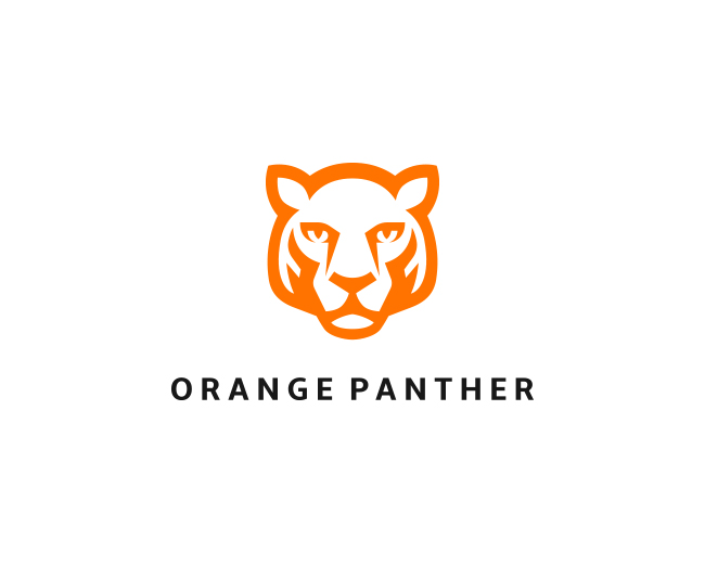Orange Panther Accessories
