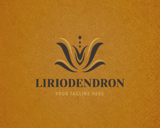 Liriodendron