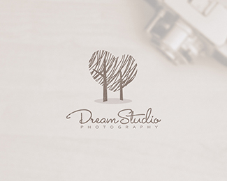 Logo Design for Photographer