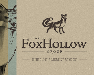 The FoxHollow group