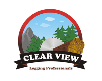 Clear View Logging