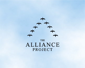 The Alliance Project