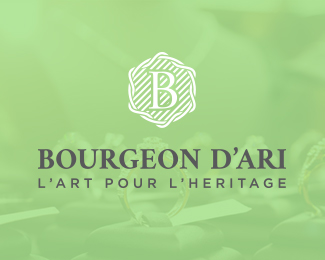 Bourgeon D'ari Logo