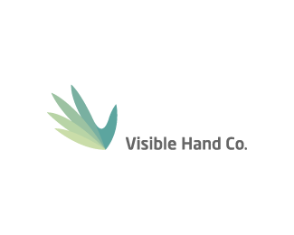 Visible Hand Co.