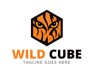 Wild Cube