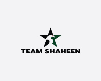 Team Shaheen