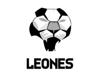 lions Soccer