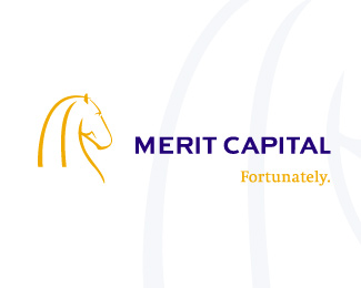 Merit Capital logo
