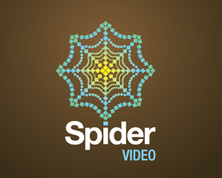 Spider Video