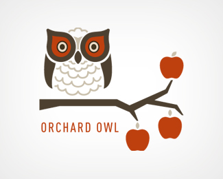 Orchard Owl