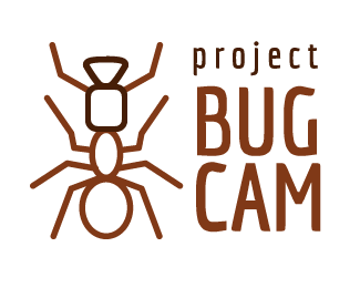 Project Bug Cam