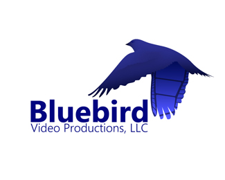 Bluebird Video Production