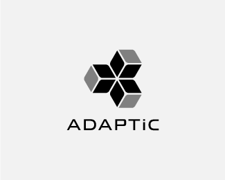ADAPTIC rev 2.2