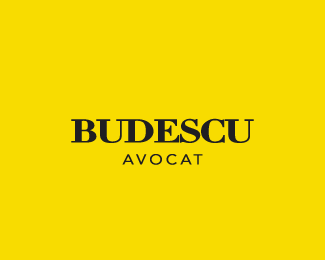 Budescu attorney