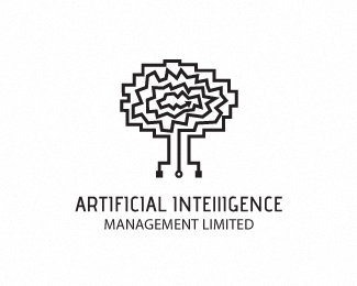 Artificial Intelligence Management