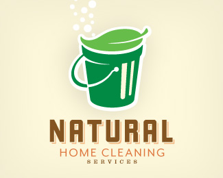 Natural Home Cleaning Services