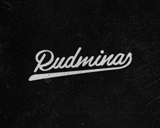 Rudminas - the programer