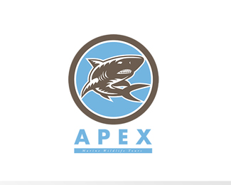 Apex Marine Wildlife Tours Logo