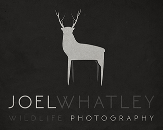 Joel Whatley - Wildlife Photography