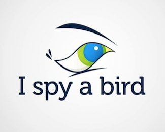 I Spy a Bird