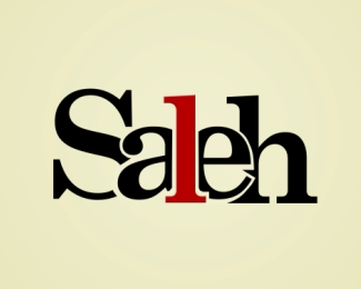 Saleh Designs