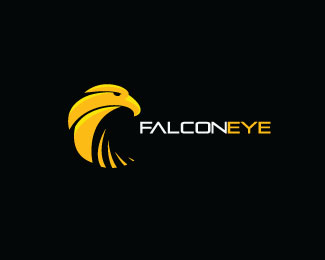 Falcon Eye Solutions