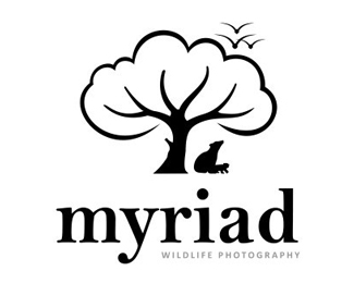Myriad WildLife Photography