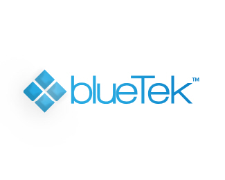 blueTek Services