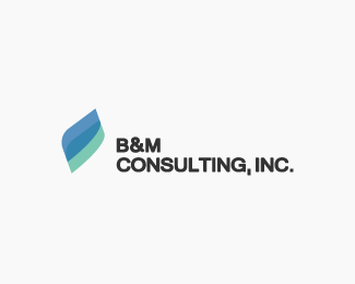 B&M Consulting , Inc.