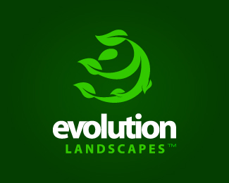 Evolution Landscapes